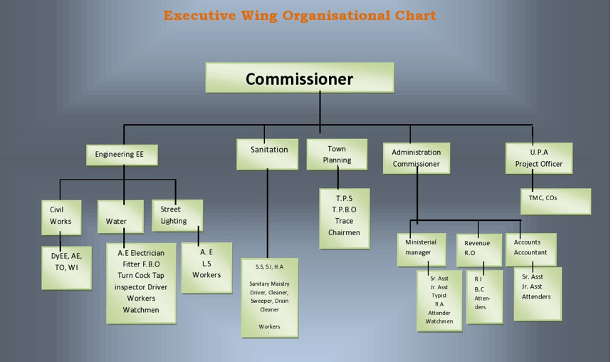 Organization